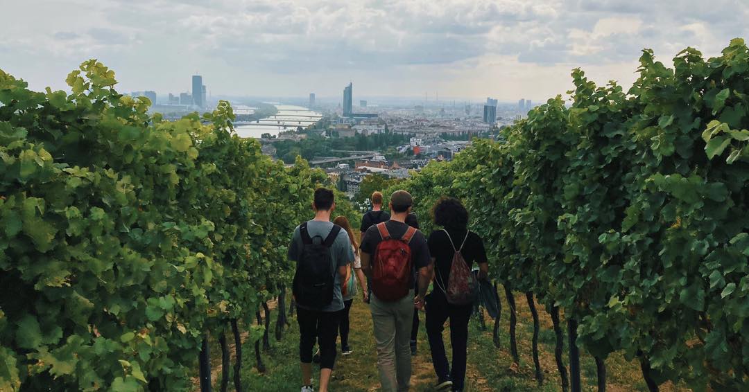 Foto des Weinwandertags 2023